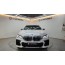 BMW X6 xDrive 30d M 스포츠